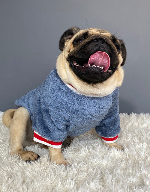 Load image into Gallery viewer, Pet sweater
