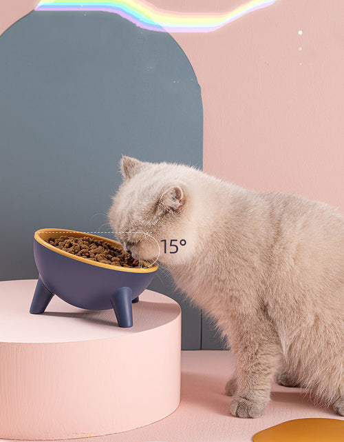 Load image into Gallery viewer, Cat Dog Bowl With Stand Pet Feeding Food Bowls Dogs Bunny Rabbit Nordic Color Feeder Product Supplies Pet Accessories
