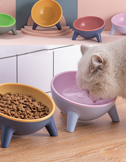 Load image into Gallery viewer, Cat Dog Bowl With Stand Pet Feeding Food Bowls Dogs Bunny Rabbit Nordic Color Feeder Product Supplies Pet Accessories
