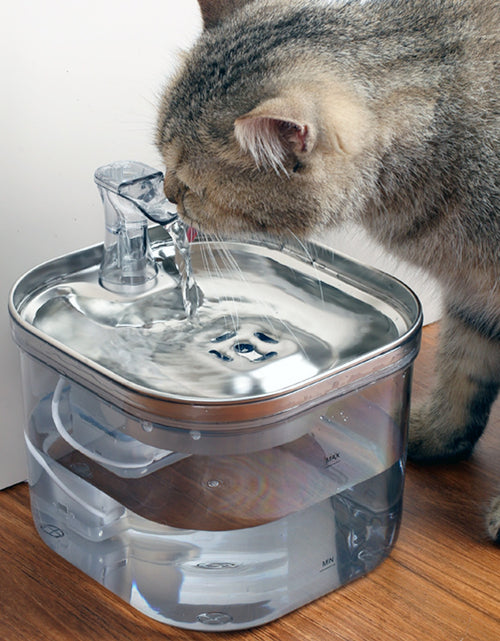 Load image into Gallery viewer, Pet Cat Dog Stainless Steel Automatic Circulation Water Dispenser Intelligent Fountain Pets Accessories
